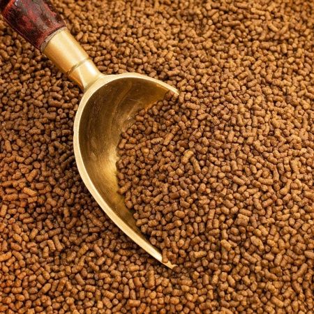 ТЧН Ку Цяо "Гречишный чай" (Слон)