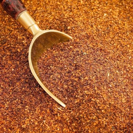 ТЧН Ройбуш (Gutenberg)