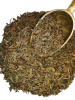 ЗЧ Ходзича (Слон)